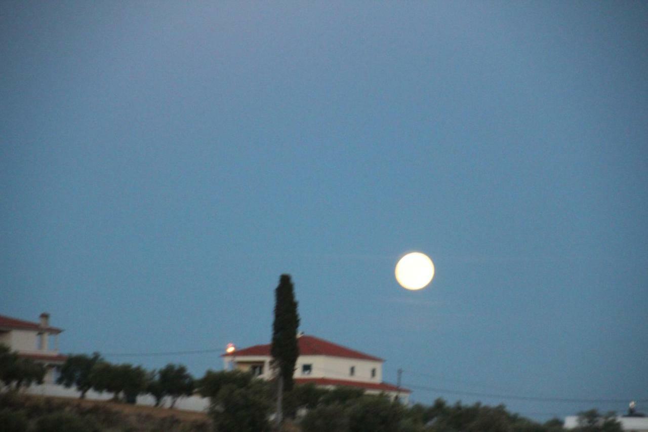 Olive View Villa Vila Nova da Barquinha Exterior photo